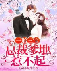 一胎三宝:直男爹地惹不起